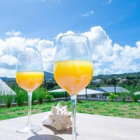 Le FrançoisLa Casa Tropicale公寓 外观 照片